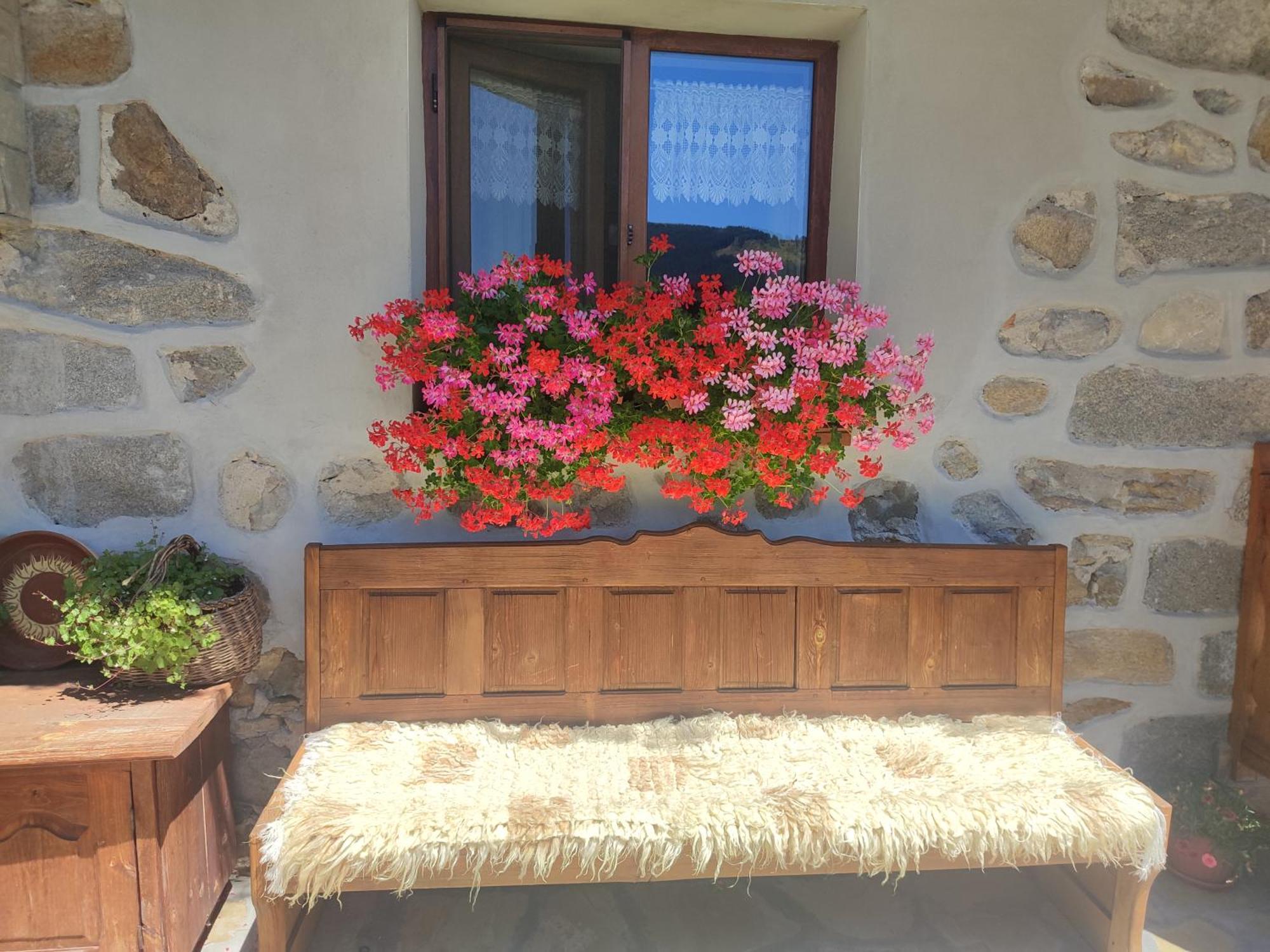 Hotel Радкината Къща Koprivštica Exteriér fotografie